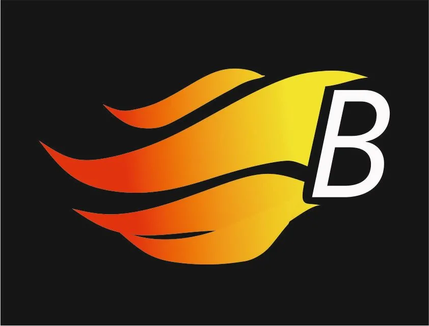 B-Fire (Россия)