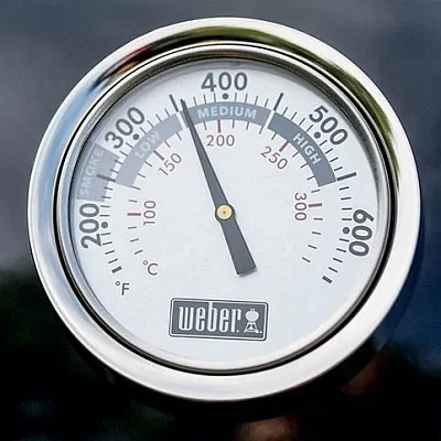 Угольный гриль WEBER Summit Kamado S6 Grill Center, 61см.