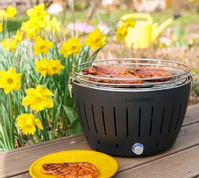 Угольный гриль LOTUS Grill Classic, 32см, серый