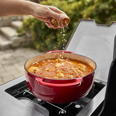 Газовый гриль WEBER Summit FS38 Е с вертелом и конфоркой (черный)