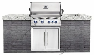 Встраиваемый газовый гриль NAPOLEON BIPRO-500 с горелкой для вертела