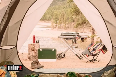 Газовый гриль WEBER Traveler, 1 горелка, 3,8кВт, складные ножки, черный