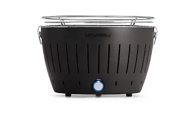 Угольный гриль LOTUS Grill Classic, 32см, серый