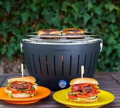 Угольный гриль LOTUS Grill Classic, 32см, серый