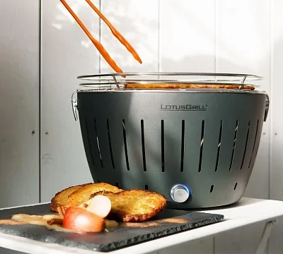 Угольный гриль LOTUS Grill Classic, 32см, серый