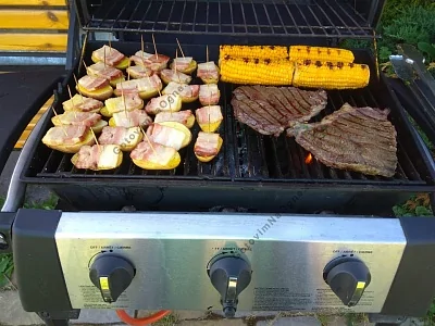Портативный газовый гриль BROIL KING Porta-Chef 320