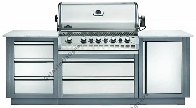 Встраиваемый газовый гриль NAPOLEON BIPRO-665 с горелкой для вертела