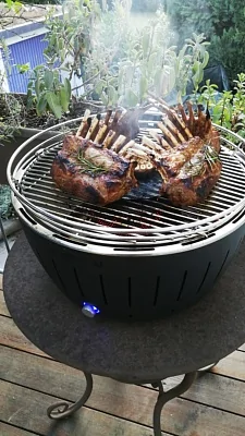 Угольный гриль LOTUS Grill Classic, 32см, серый