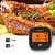 Термометр INKBIRD IBBQ-4T зарядка USB 2000мАч. (Wi-Fi + Bluetooth + 4 щупа)