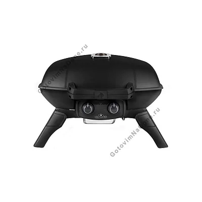 Портативный газовый гриль NAPOLEON TravelQ-285-1