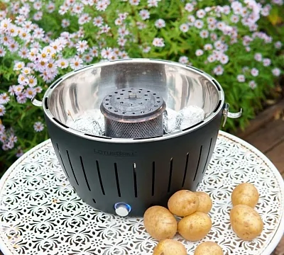 Угольный гриль LOTUS Grill Classic, 32см, серый