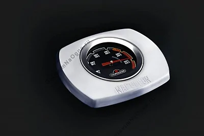 Портативный газовый гриль NAPOLEON TravelQ-285-1