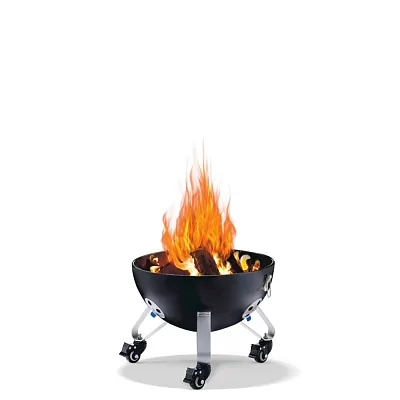 Угольный гриль-смокер NAPOLEON, APOLLO 22