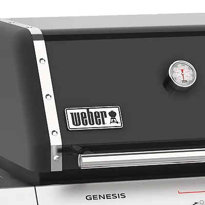 Газовый гриль WEBER Genesis E-335 с конфоркой