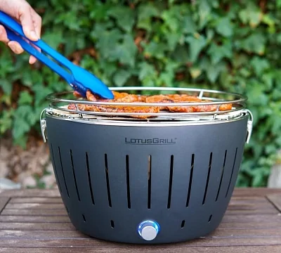 Угольный гриль LOTUS Grill Classic, 32см, серый
