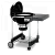Угольный гриль WEBER Performer Original GBS 57см., черный