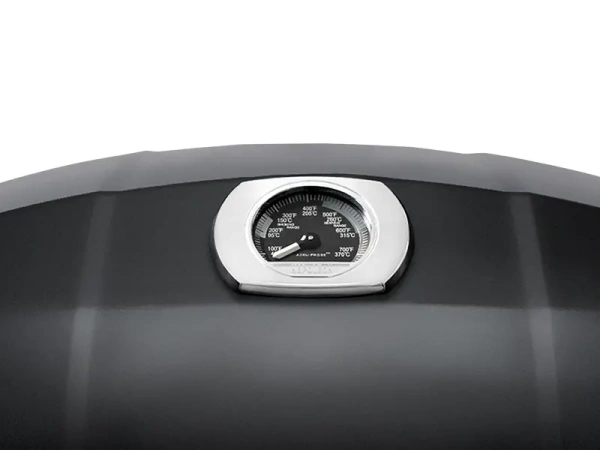 Портативный газовый гриль NAPOLEON TravelQ PRO-285