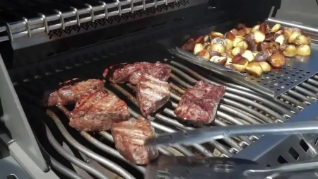 Встраиваемый газовый гриль NAPOLEON Bilex - 485