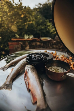 Керамический гриль MONOLITH Basic