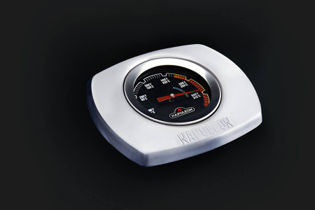 Портативный газовый гриль NAPOLEON TravelQ-285X 