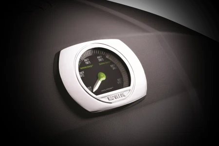 Электрический гриль NAPOLEON TravelQ PRO-285X