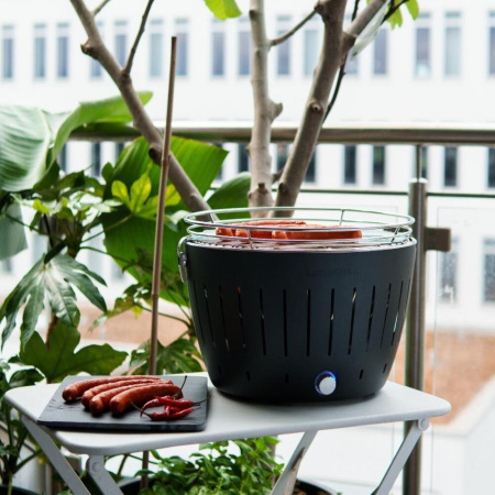 Угольный гриль LOTUS Grill Classic, решетка 32см, серый