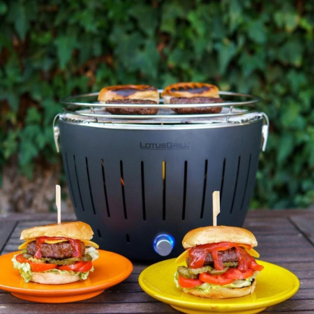Угольный гриль LOTUS Grill Classic, решетка 32см, серый