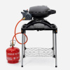 Газовый гриль O-GRILL 500MТ bicolor золотой/черный