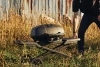 Портативный газовый гриль NAPOLEON TravelQ PRO-285X PHANTOM