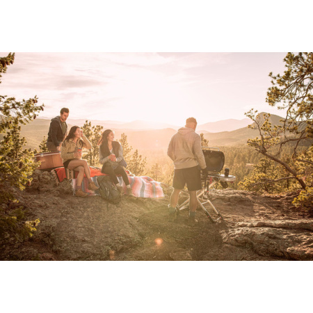 Газовый гриль WEBER Traveler, 1 горелка, 3,8кВт, складные ножки, черный