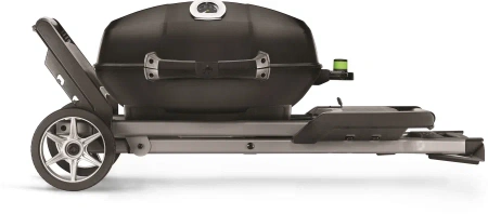 Электрический гриль NAPOLEON TravelQ PRO-285X