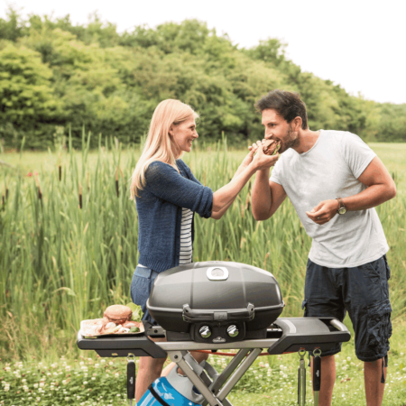 Портативный газовый гриль NAPOLEON TravelQ PRO-285X