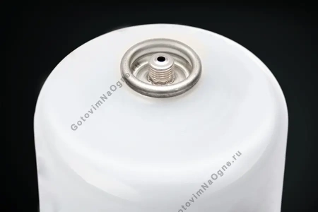 Портативный газовый гриль NAPOLEON TravelQ-285-1