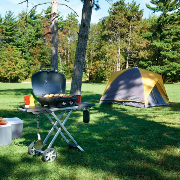 Портативный газовый гриль NAPOLEON TravelQ-285X 