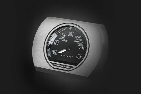 Газовый гриль NAPOLEON Rogue-365