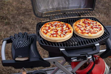 Портативный газовый гриль NAPOLEON TravelQ PRO-285X