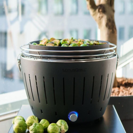 Угольный гриль LOTUS Grill Classic, решетка 32см, серый